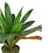 22" Potted Artificial Green & Brown Bird Nest Fern
